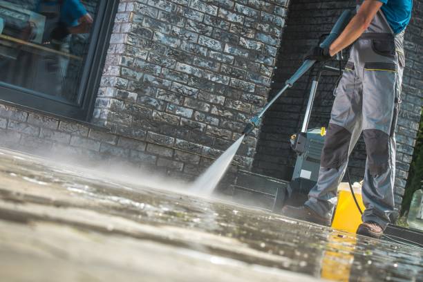 Best Graffiti Removal  in Miami Shores, FL